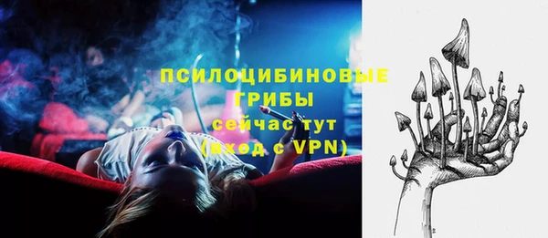 COCAINE Богородицк