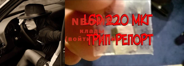 скорость Бородино
