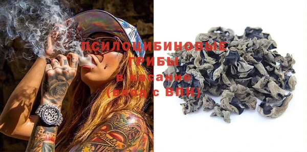 COCAINE Богородицк