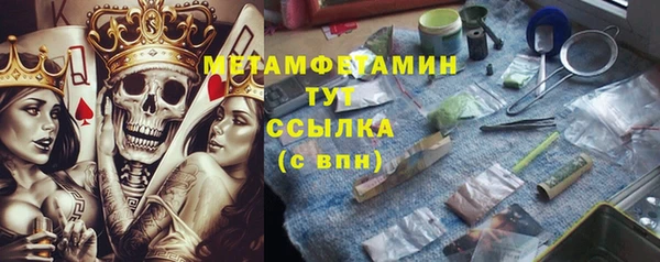 шишки Белоозёрский