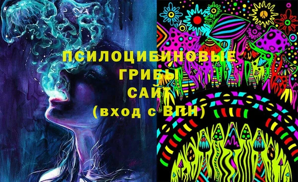 COCAINE Богородицк