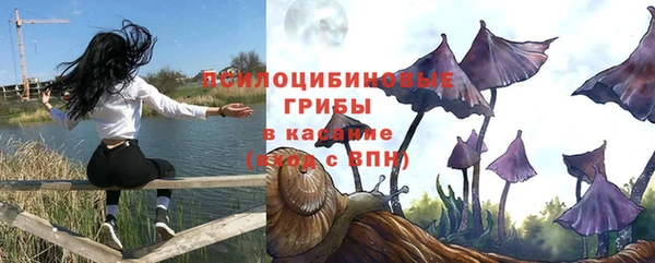 скорость Бородино
