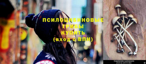 скорость Бородино