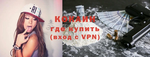 соль ск Богданович
