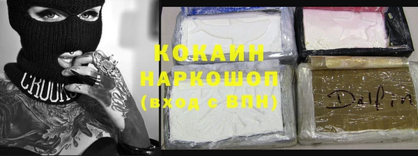 соль ск Богданович