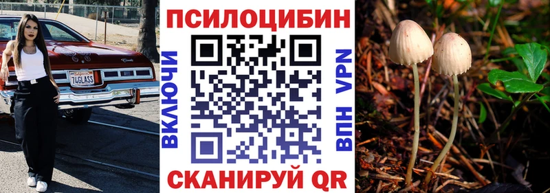 Псилоцибиновые грибы прущие грибы где купить наркоту Свободный